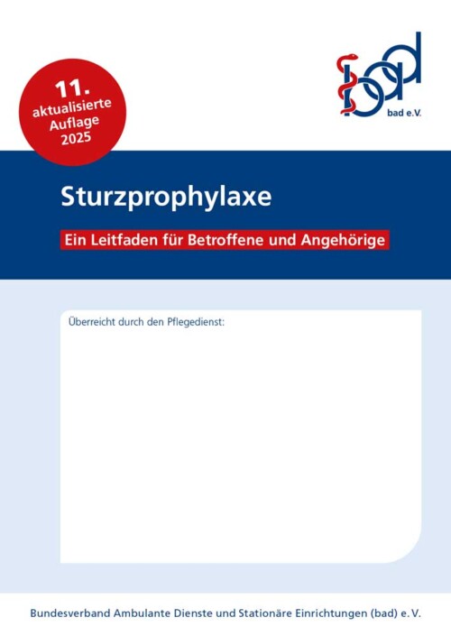 Sturzprophylaxe – Ein Leitfaden für Betroffene und Angehörige 2